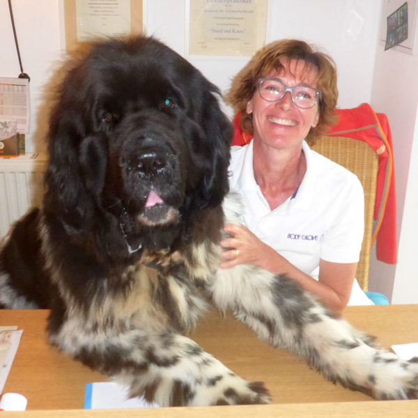 Physiotherapie Hunde Claudia Kniese