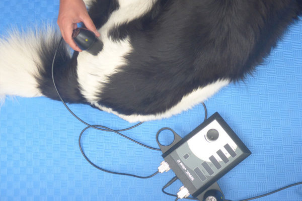 therapeutischer ultraschall